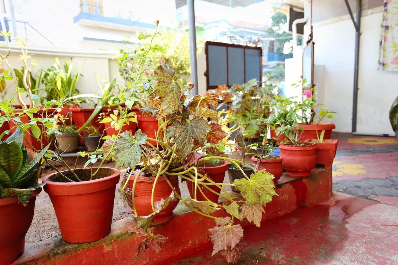 Honolulu Homestay *